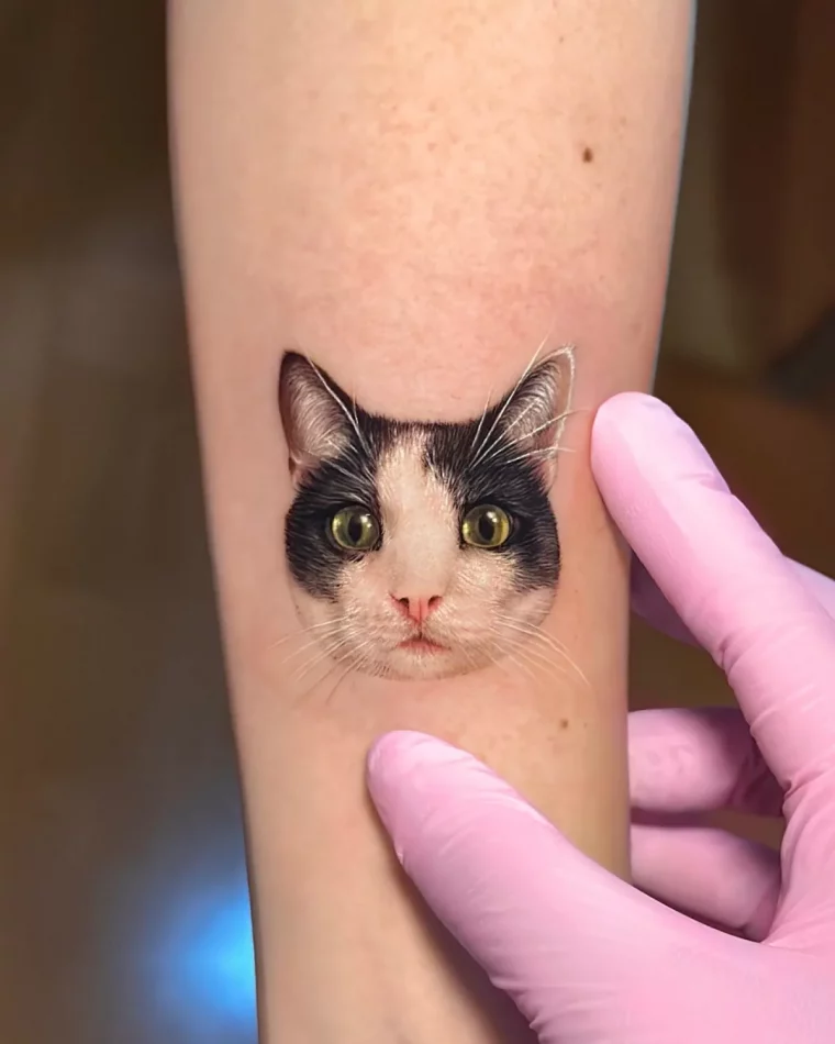 dreidimensionales tattoo katze