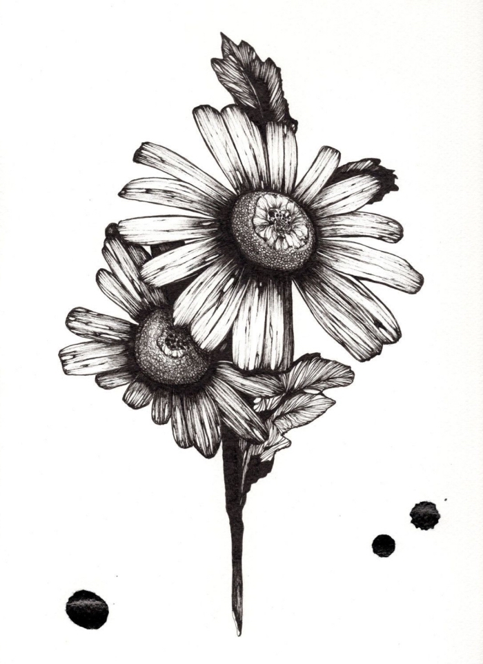 einfache zeichnungen, große blumen, zeichnen mit bleistift, gänseblumen