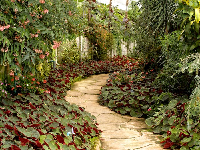 Den Garten in eine grüne Oase verwandeln, Pflasterweg harmonisch einfügen 