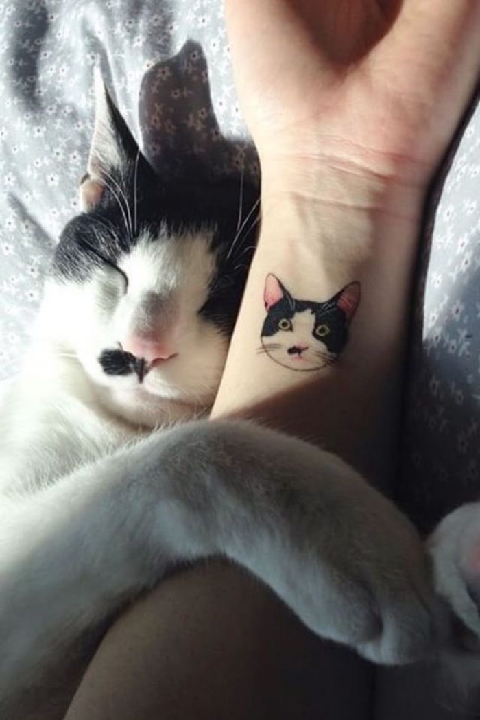 lustiges handgelenk tattoo, eine katze tätowierung von katzen, die katze kuschelt mit ihrem abbild