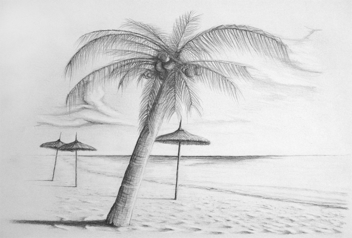 ideen zum zeichnen, meer und strand, große palme mit kokosnüssen, sonnenschnirme