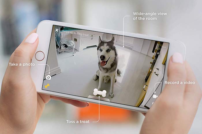 Videoanruf von dem Haustier annehmen, mit Petcube 2 jetzt möglich, Petcube Bites and Play-Kameras