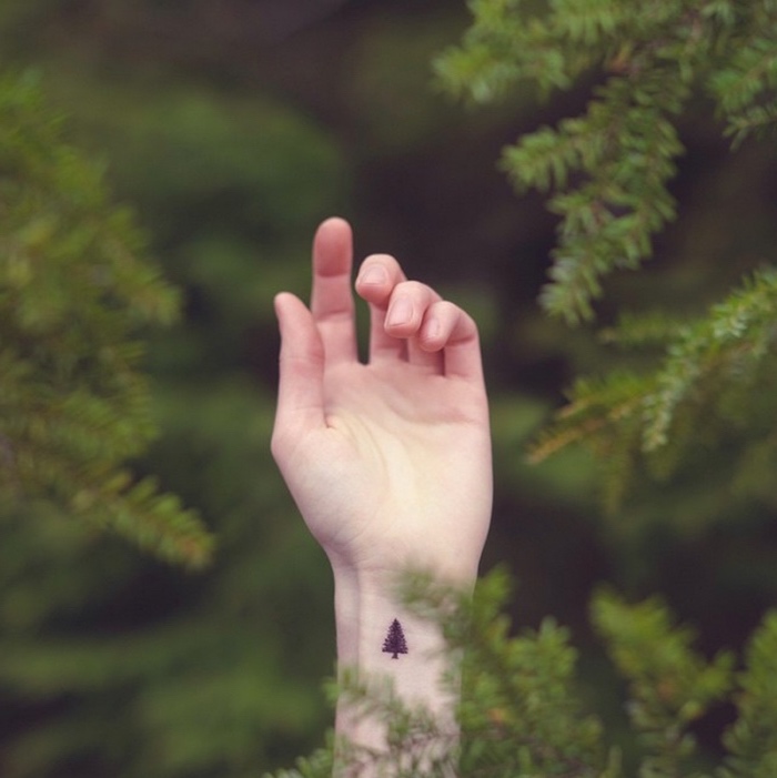 tattoo vorlage, ein foto im wald, kleines bäumchen auf der hand tätowieren, wald lieben