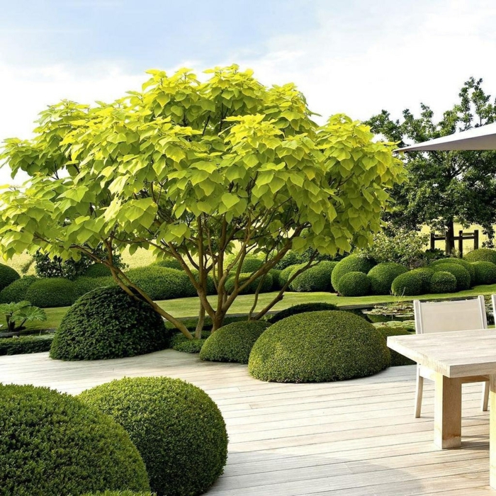 grüner Baum und gerundete Hecke, Terrassendiele und ein englischer Rasen, moderne Gartengestaltung