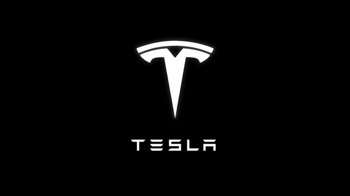 Tesla stellt die so genannte Hund Modus vor, das Logo von Firma in schwarzer Hintergrund