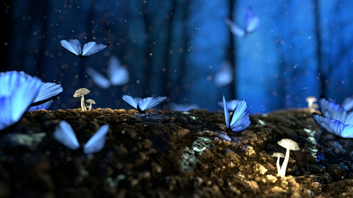 coole Bilder, kleine Schmetterlinge mit blauen Flügeln, brauner Boden und kleine Pilze, ein magisches Bild