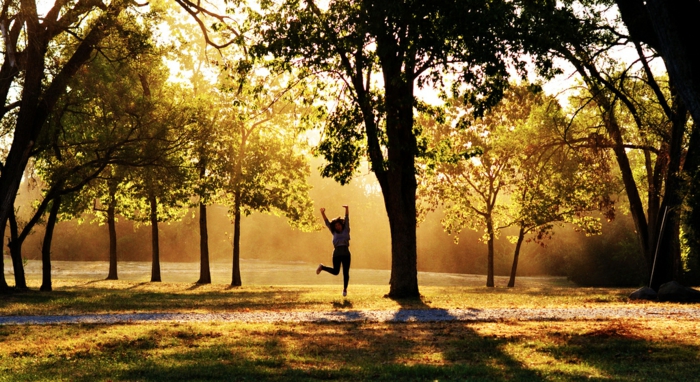 viele Bäume, ein Mädchen joggt beim Sonnenaufgang, schöne Profilbilder im Herbst, ein Pfad