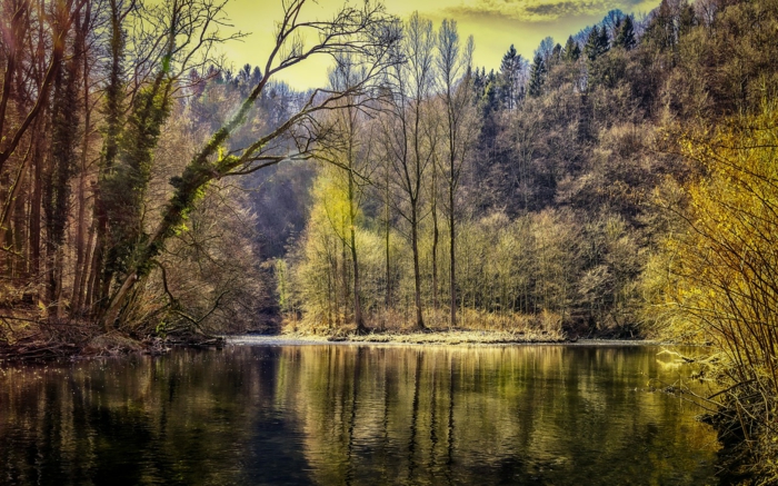 ein See und schöne Natur, schöne Profilbilder, Nadelbäume, glätzendes Wasser, grünes Himmel