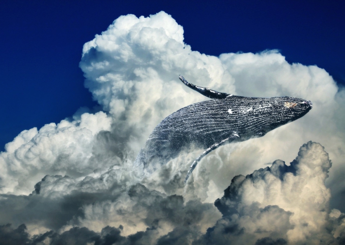 ein blauer Himmel mit weißen Wolken, ein Wal, der im Himmel schwimmt, Kunst Bilder