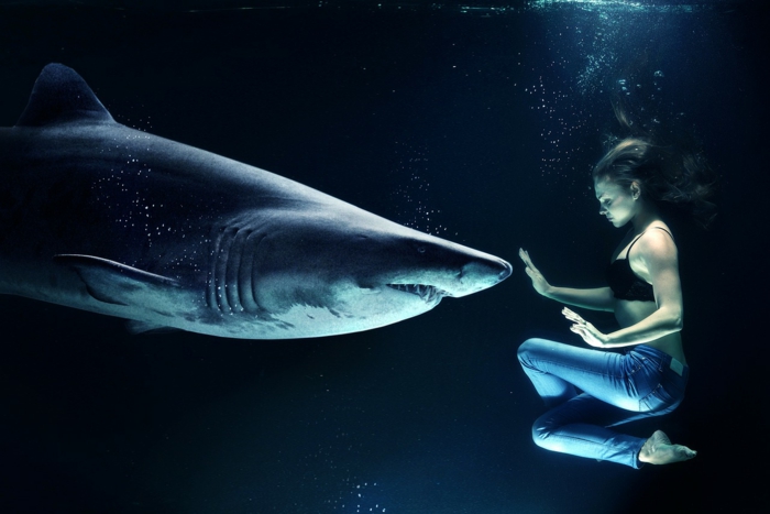 ein Haifisch und ein Mädchen Unter Wasser, das Mädchen ist in Joga Pose, Bilder modern