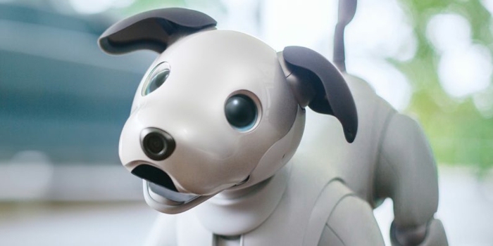 Roboter Hund mit blauen Augen, schwarze Ohren, weißer Körper, Aibo neues Modell