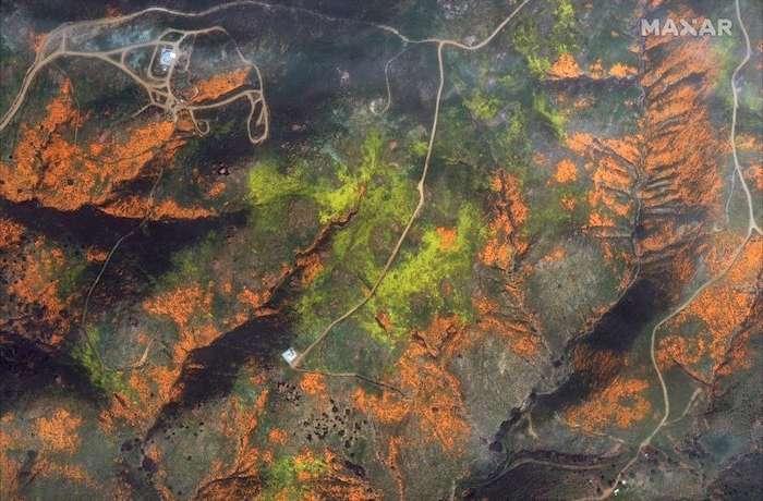 ein bild von walker canyon in kalifornien mit vielen kleinen orangen mohn-blüten und grünen blättern und wiesen