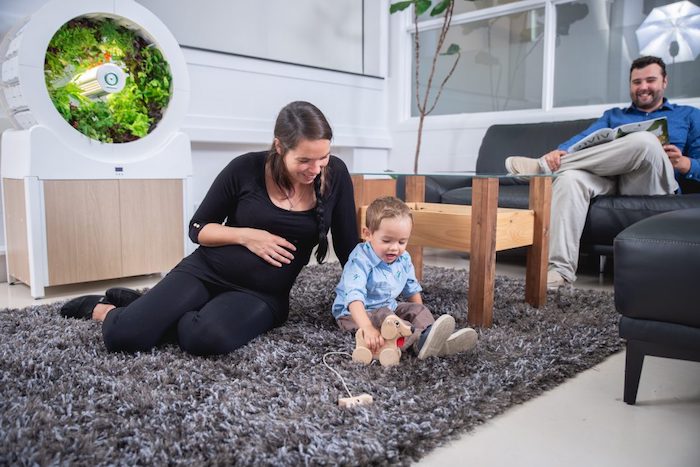 ein wohnzimmer mit einem tisch aus holz und einem grauen teppicg, ein Ogarden Smart indoor-garden mit grünen pflanzen