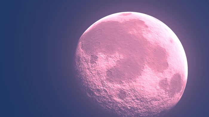 großer pinker vollmond und ein blauer himmel, der pink moon