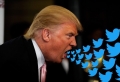 Twitter hat erstmals Tweet von Donald Trump gesperrt: das Filmstudio Warner Bros verklagt ihn
