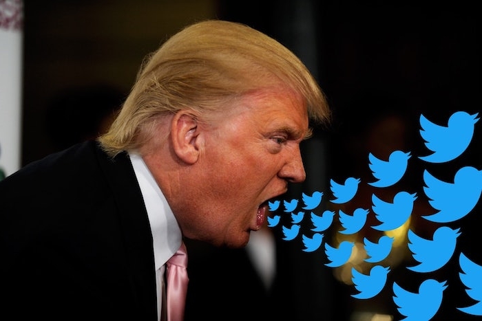der us-amerikanische präsident donald trump, der logo von twitter, viele kleine blaue fliegende vögel