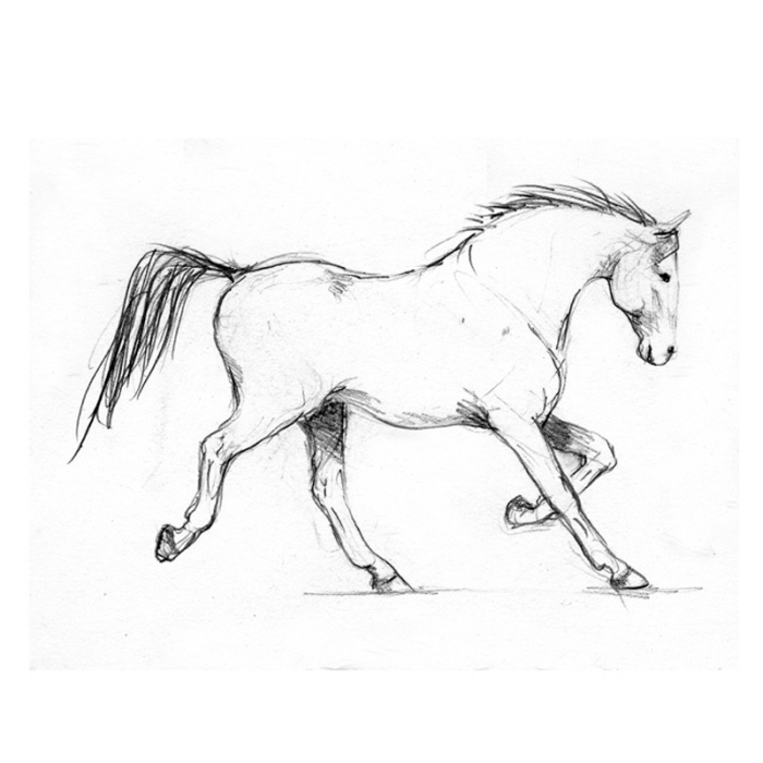 coole bilder zum nachzeichnen, renennder pferd zeichnen, zeichnung in schwarz und grau