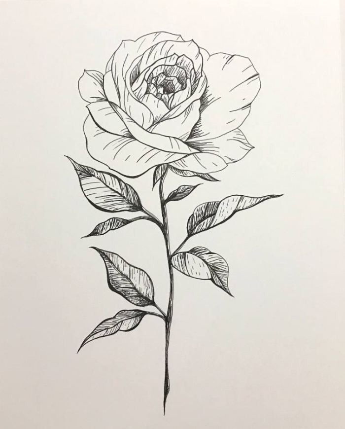 rose zeichnen, blume in schwarz und grau, zeichnungen ideen