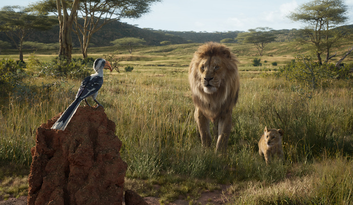 ein blauer vogel zazu und zwei gelbe löwen, eine szene aus dem film der könig der löwen, mufasa und simba 
