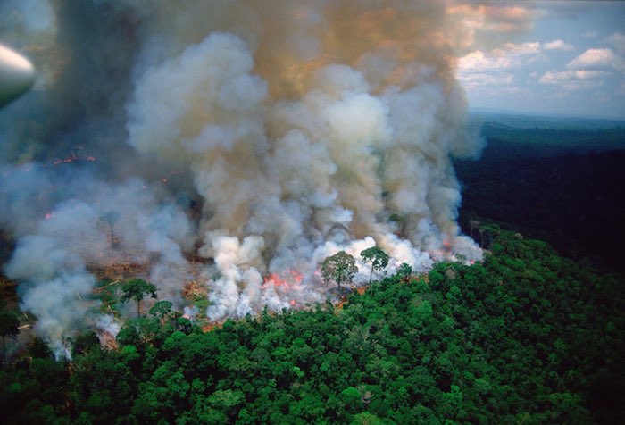 großer brennender amazonas regenwald, ein großer brand, wald mit vielen grünen bäumen in brasilien