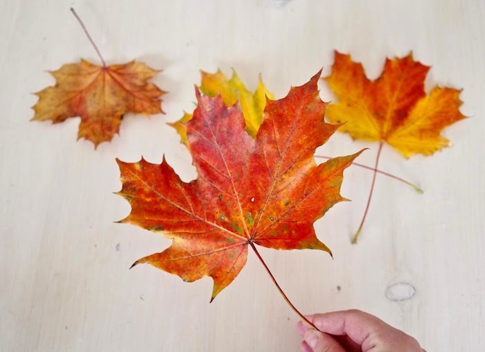 Basteln mit Herbstblättern, Blättern aus Modelliermasse ausstechen, Herbst Schüssel selber machen