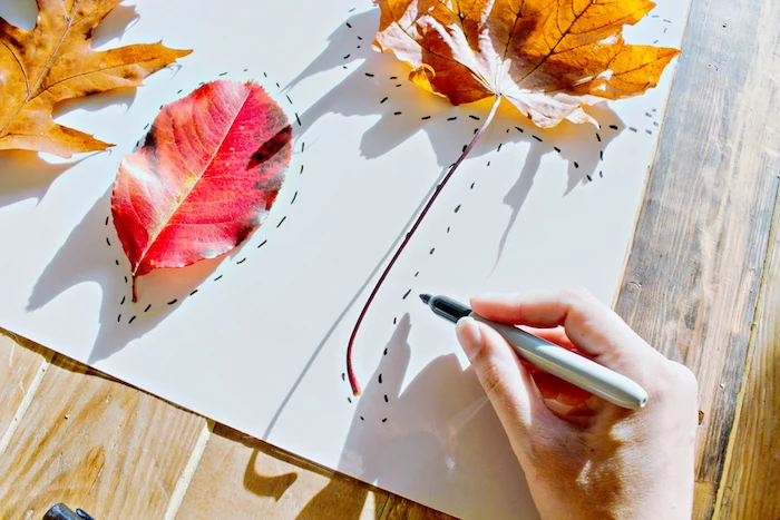 Bunte Herbstblätter auf Papier kleben und mit schwarzem Filzstift nachzeichnen 