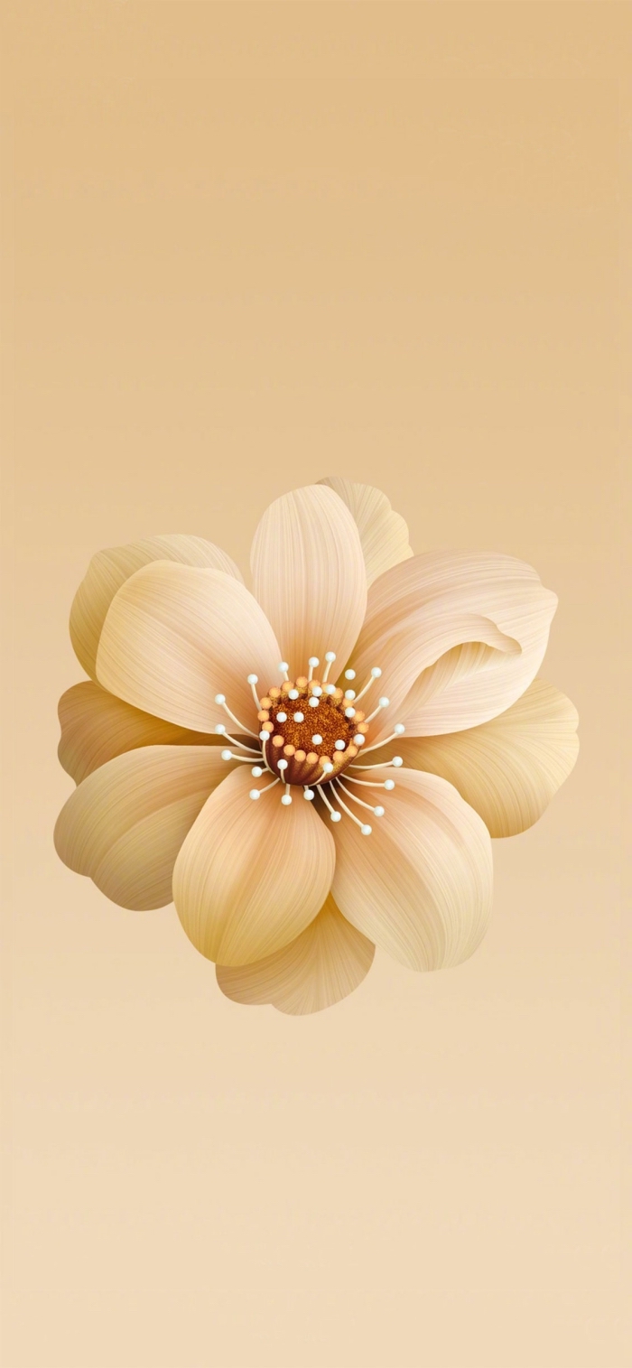 Featured image of post Hintergrundbild Iphone Blume : Iphone 8, 8+ oder x.