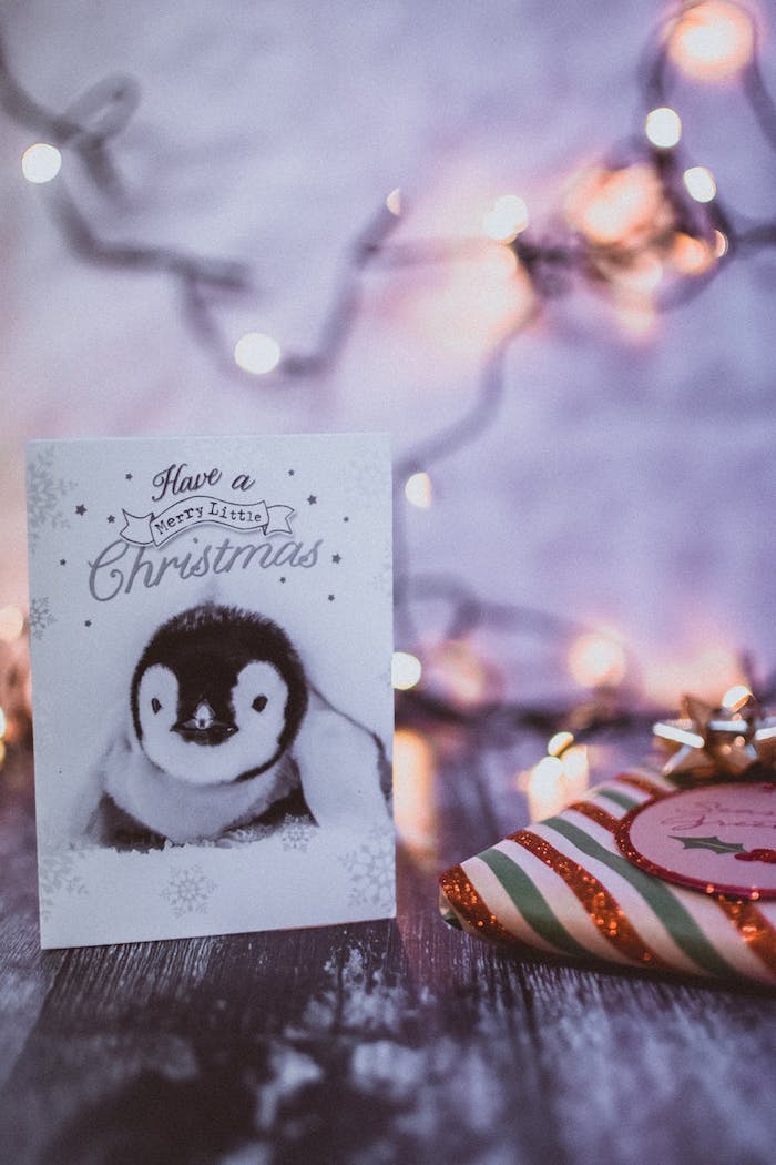 Süße Weihnachtskarte mit Pinguin und Schneeflocken 