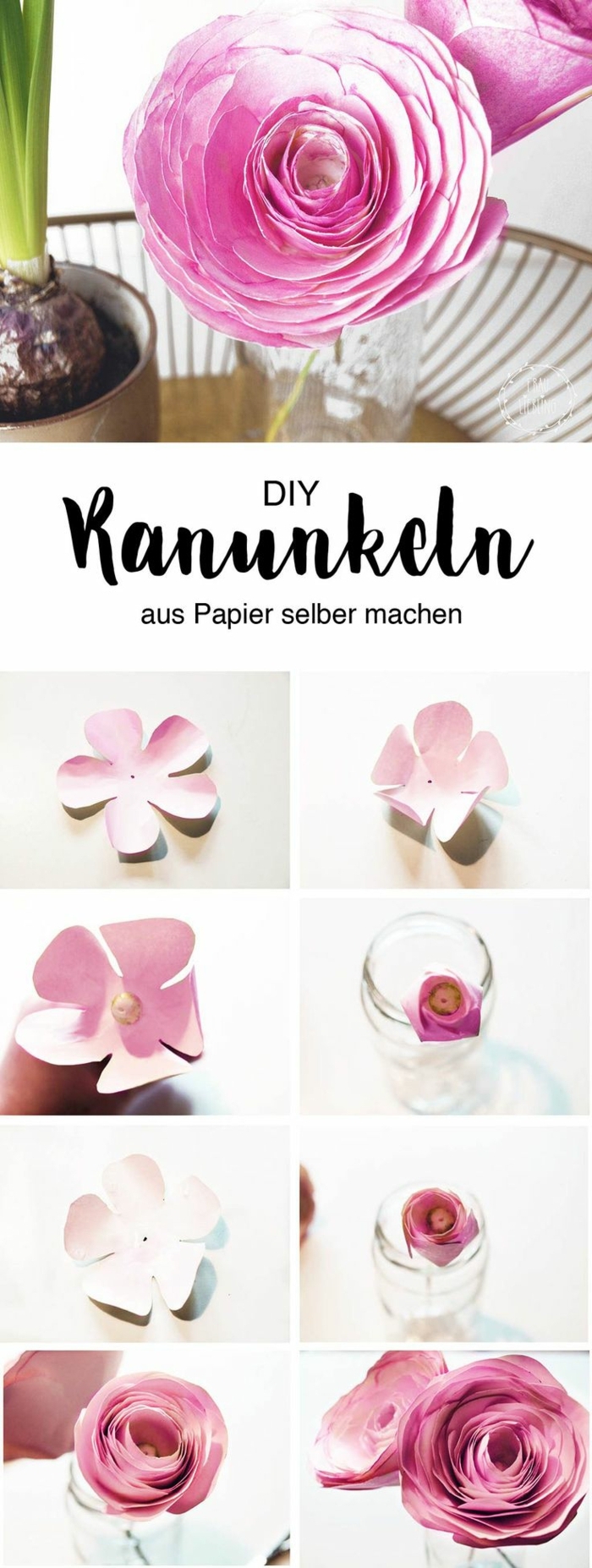 Ranunkel aus Papier in pink Selbermachen, DIY Anleitung, Geschenk zum 90 Geburtstag Oma, 