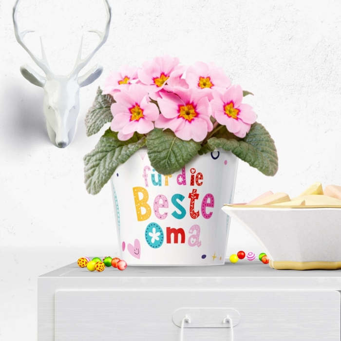 Blumentopf mit Aufschrift und pinke Blumen, Kopf vom Reh im Hintergrund, Äpfel in Schale, Geschenke für die Oma