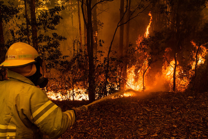 die buschbrände in australien, ein wald mit feuer, ein feuerwehrmann, der schauspieler russel crowe 
