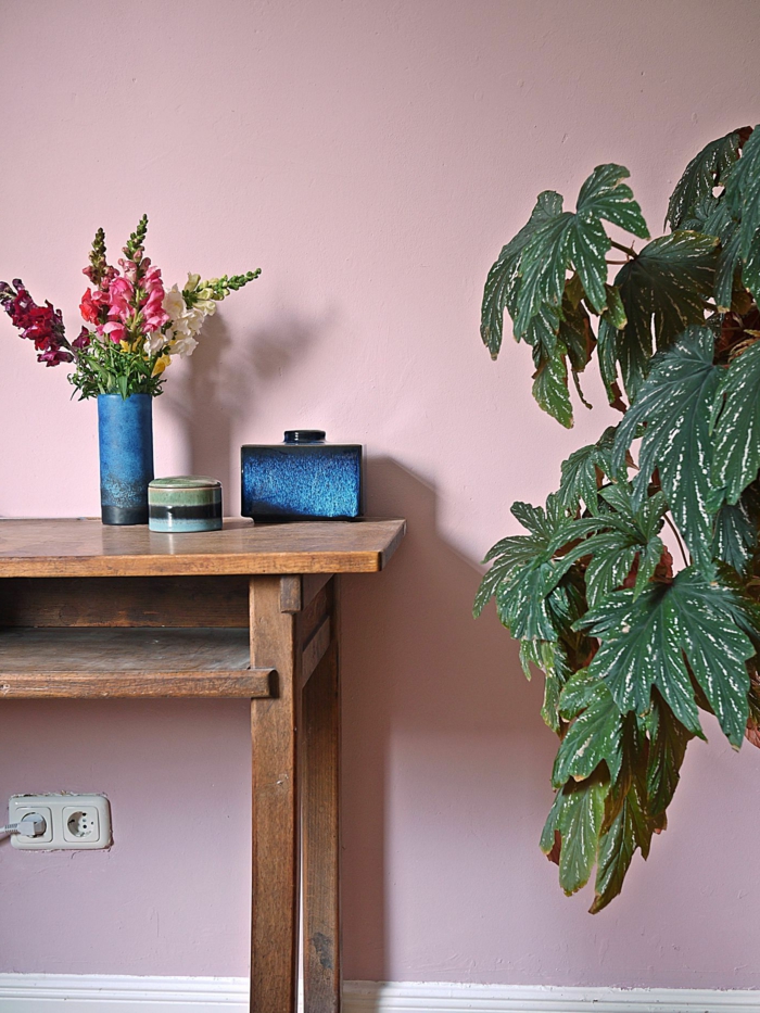Passende Farbe zu rosa, Wand bemalt in altrosa, dunkelblaue Accessoires auf einem Tisch aus Holz, große grüne Pflanze