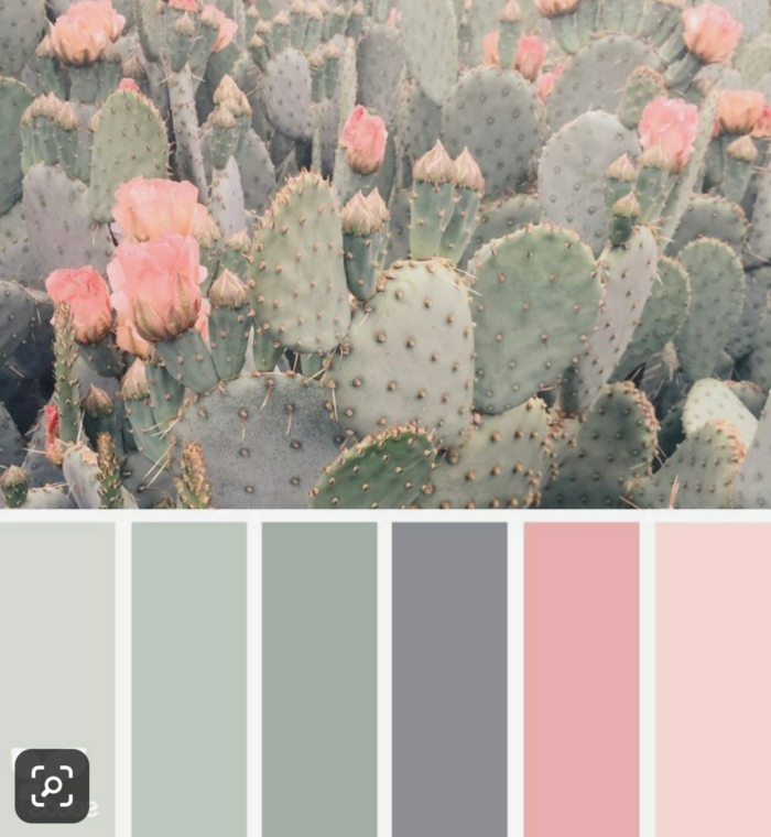 Mischfarben für Wände, Wandfarbe altrosa, Schattierungen von blassgrün bis altrosa, Kakteen und rosa Blumen