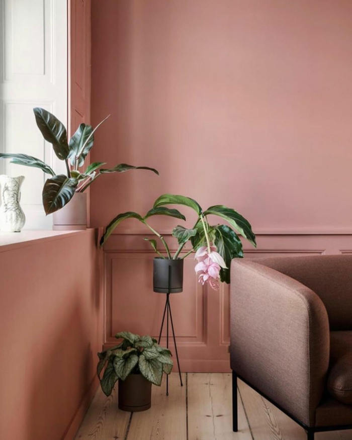 Welche Farbe passt zu altrosa, Sessel in brauner Farbe, grüne Blume mit rosa Blüten und grüne Pflanzen