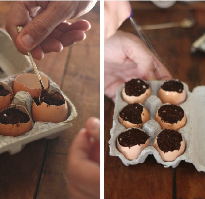 Hand füllt leere Eierschale mit Erde und Samen, DIY Pflanzer aus Schalen vom Ei, Upcycling Idee, Garten Ideen selber machen, 