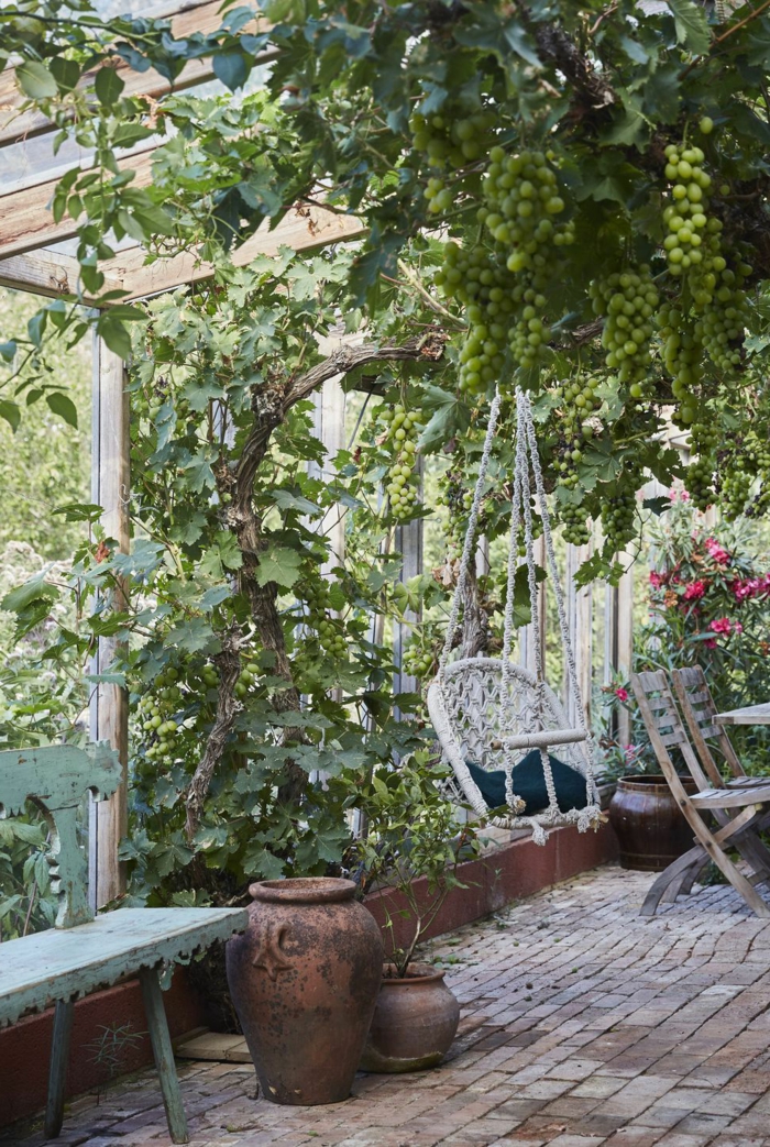 Trauben im Garten, weiße hängende Schaukel, Dekoration mit vielen grünen Pflanzen, Bank aus Holz, Gartengestaltung Ideen Bilder