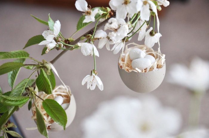 Upcyclen von Eierschalen, Schale mit künstlichem Heu und Ei aus Gips aufgehängt auf einem Zweig, Frühlingsdeko aus Naturmaterialien selber machen