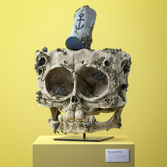 schädel von spongebob mit einer mütze, cartoon fossils, designer filip hodas 