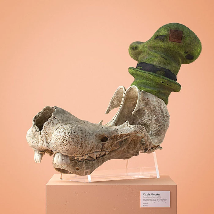 schädel von goofy, cartoon fossils, ein projekt von dem designer filip hodas, ein schädel mit grüner mütze 