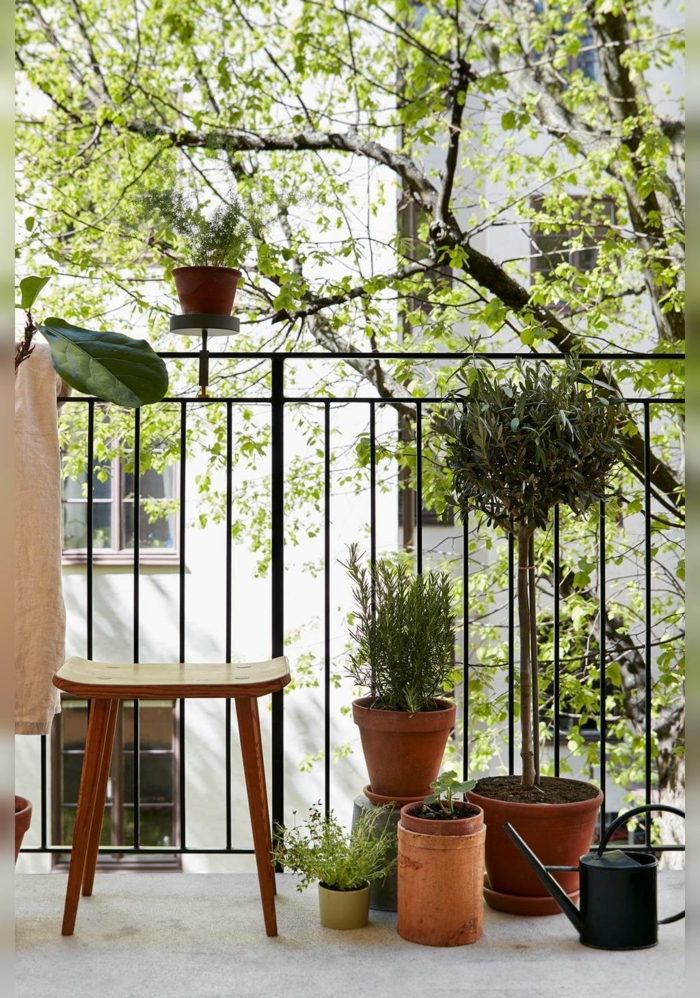 Ideen für Deko für Garten und Terrasse mit vielen grünen Pflanzen, vierbeiniger kleiner Stuhl
