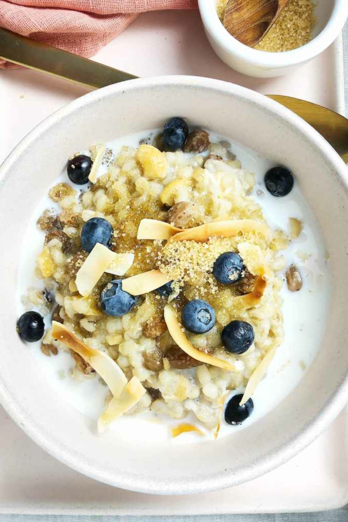 Frühstück Haferbrei mit Gerste Blaubeeren Nüssen und vegane Milch, vegane Rezepte für Anfänger, gesundes und nahrhaftes Essen