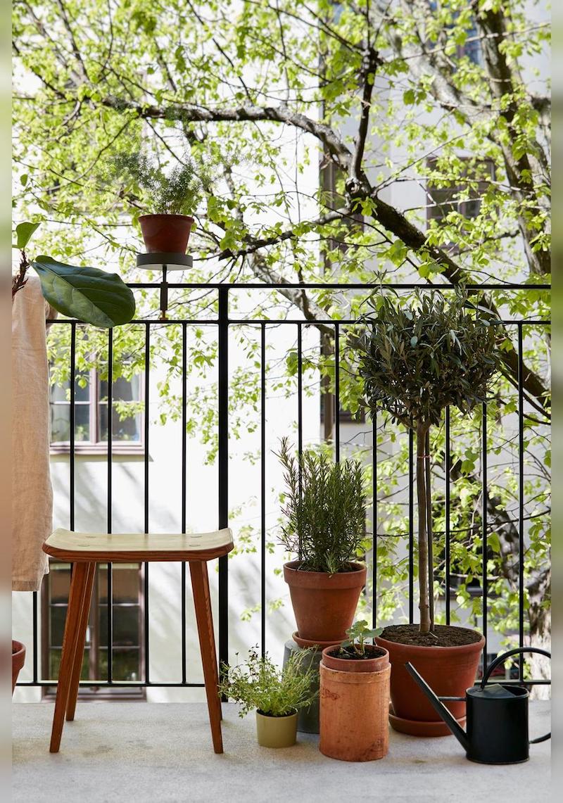 große und kleine pflanzen balkongestaltung kleinen balkon gestalten ideen