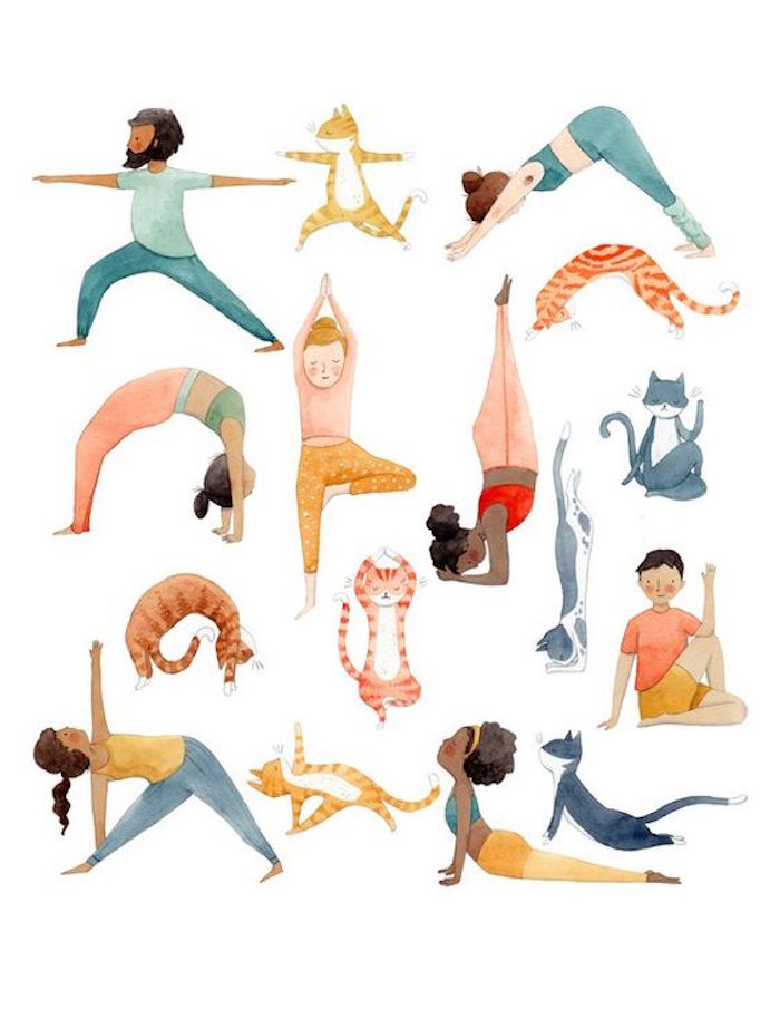 Yoga Positionen für Anfänger, Sport treiben zu Hause, Hobbys für Zuhause 