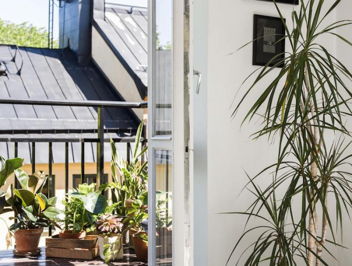 wohnzimmer mit terrasse balkon gestalten pflanzen inspiration
