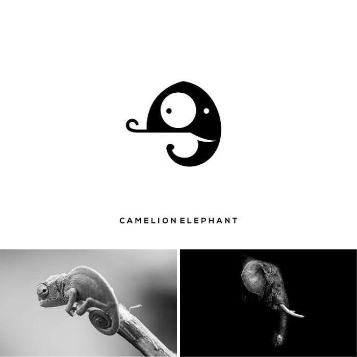 chamelionelephant, ein markenlogo von dem designer shibu pg, zwei schwarzweiße bilder mit einem elefant und chamäleon