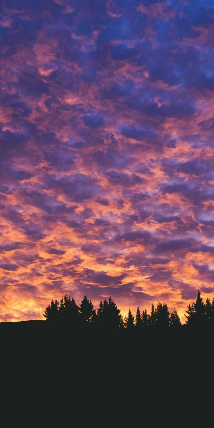 Magischer Sonnenuntergang im Wald, Aesthetic Phone Wallpapers, Wolken in Lila und Gelb