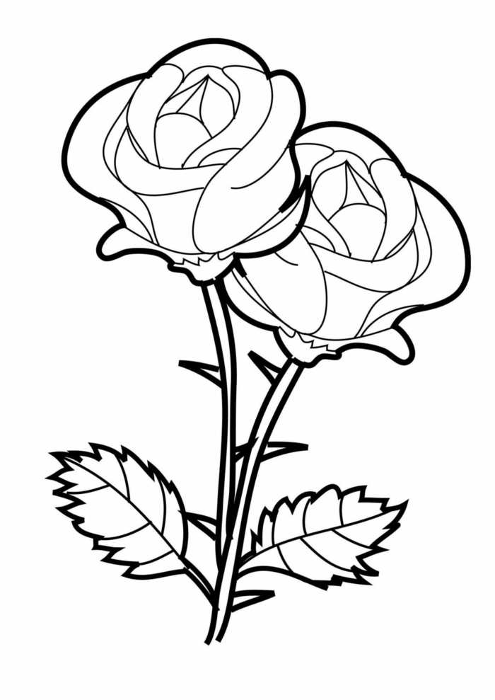Malvorlage von zwei Rosen mit zwei Blättern, schöne Bilder zum nachmalen und ausmalen