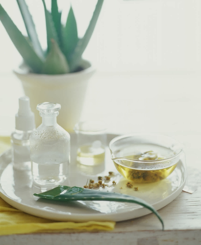 25+ Homemade Hand Sanitizer With Aloe Vera Juice