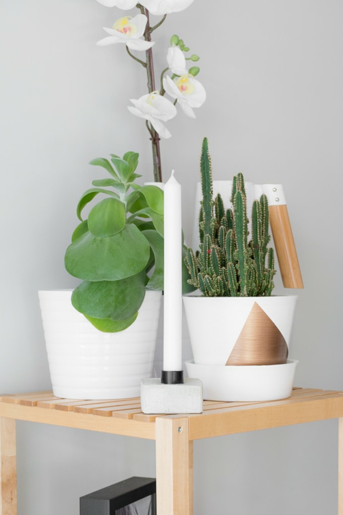 schöne weiße Orchidee und ein Kaktus, Kerzenständer mit einer weißen Kerze, Pflanzkübel aus Beton selber machen