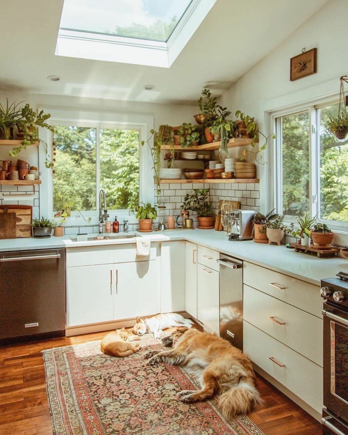 Dekoration mit vielen grünen Pflanzen, Küche l Form mit Fenster, weiße Küchenschränke, Hund und zwei Katzen auf dem Boden